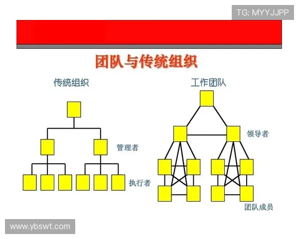 上海羽毛球队团队协作表现的数据分析与提升策略探讨 上海羽毛球队团队协作表现的数据分析与提升策略探讨